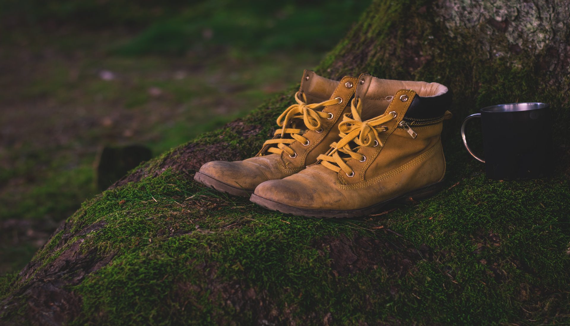 Wanderschuhe auf dem Kellerwaldsteig