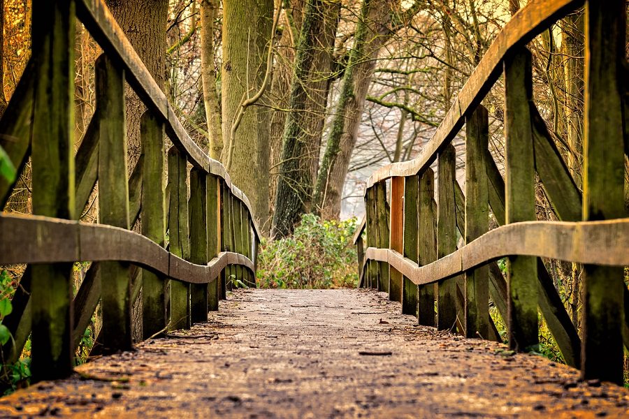 Wanderweg im Nationalpark Kellerwald Edersee